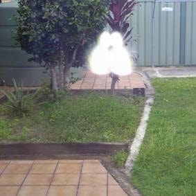 Psychic archive photo 44